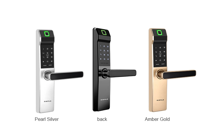 Hot Sale Tuya Tt Lock APP Fingerprint Recognition Electronic Smart Door Lock