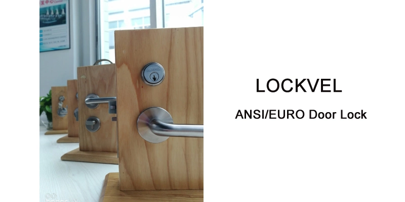 Fire Exit Door Handle/Round Door Handles with Locks/Panic Handle