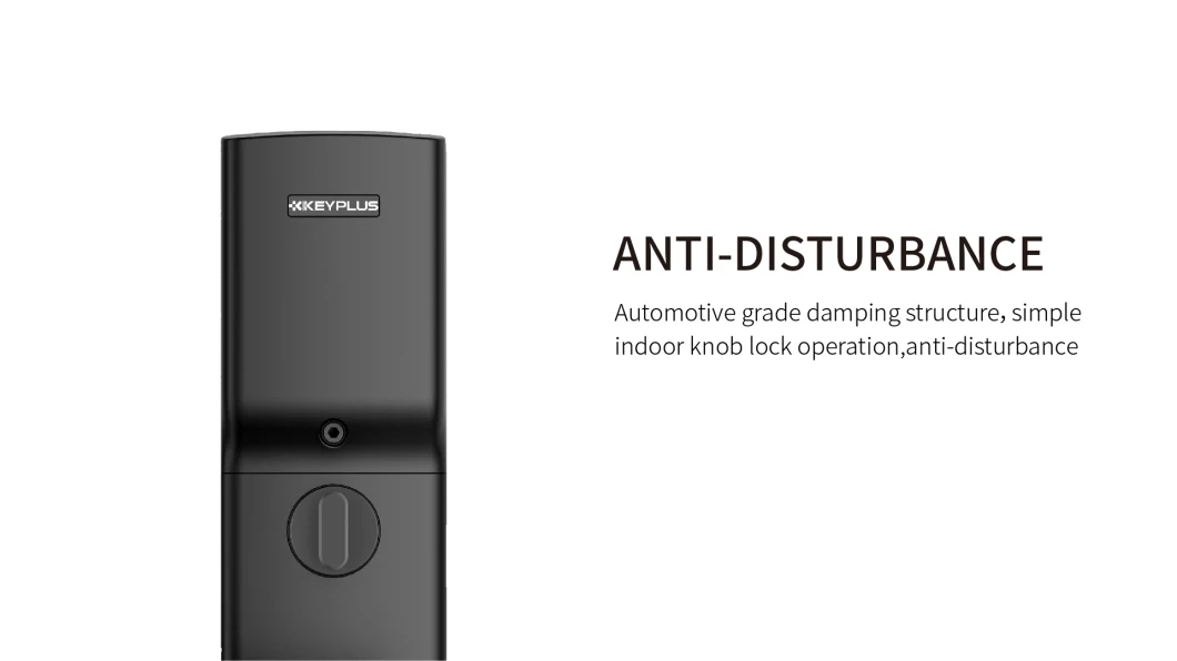 2021 Hot Sale Digital Smart Lock for Aluminium Door, Airbnb Apartment Door Lock
