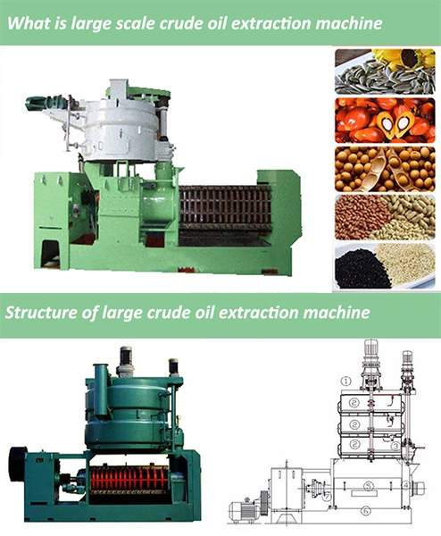 High Efficiency Corn Germ Oil Processing Line Black Seed Oil Pakistan Price of Palm Oil Seed