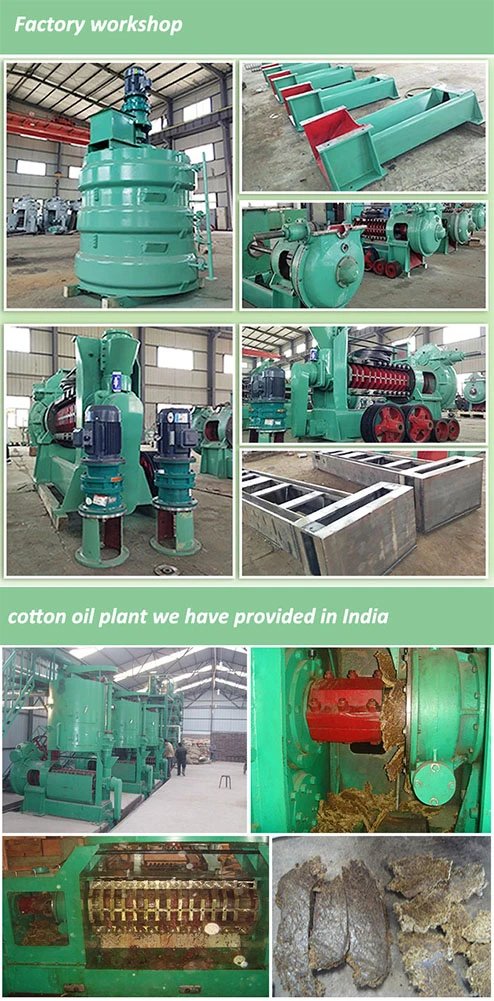 High Efficiency Corn Germ Oil Processing Line Black Seed Oil Pakistan Price of Palm Oil Seed