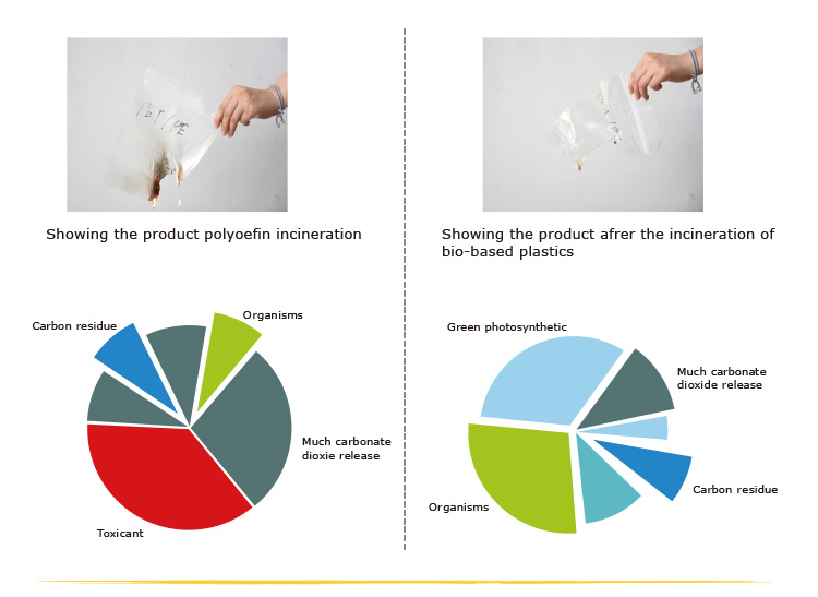 Wholesale Clear Window Biodegradable Sealable Bag in China