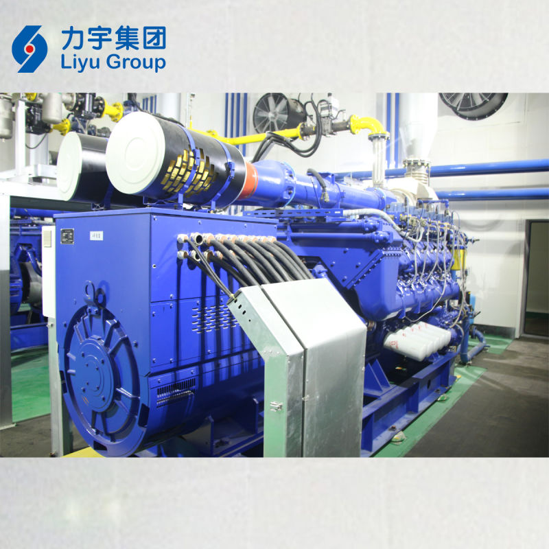 Liyu 800kw Plant/Containerized/Silent High Voltage Gas-Fired Internal Combustion Engine Biomass Gas Energy Generator Set