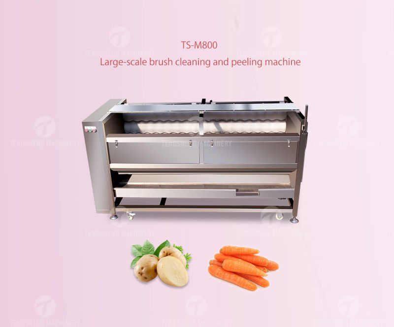 Electric Field Snail Cleaner Brush-Type Field Snail Washing Machine (TS-M800)