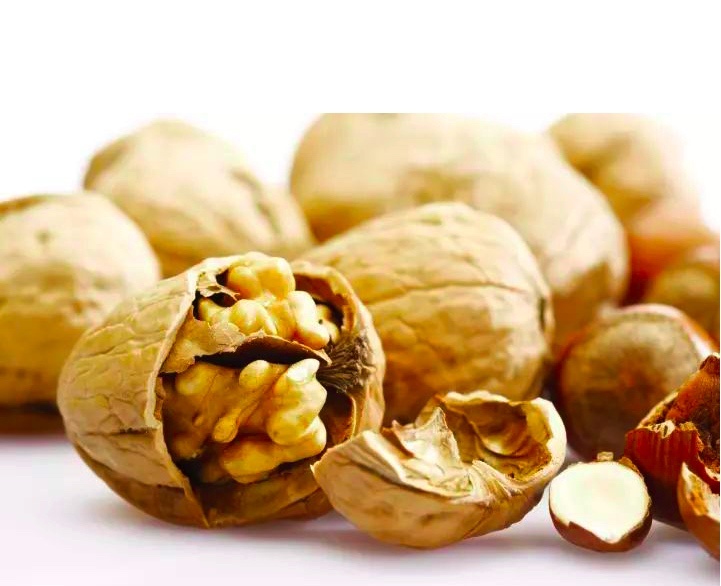 Chinese 2020 New Nut Crop Dried Fruit Walnut