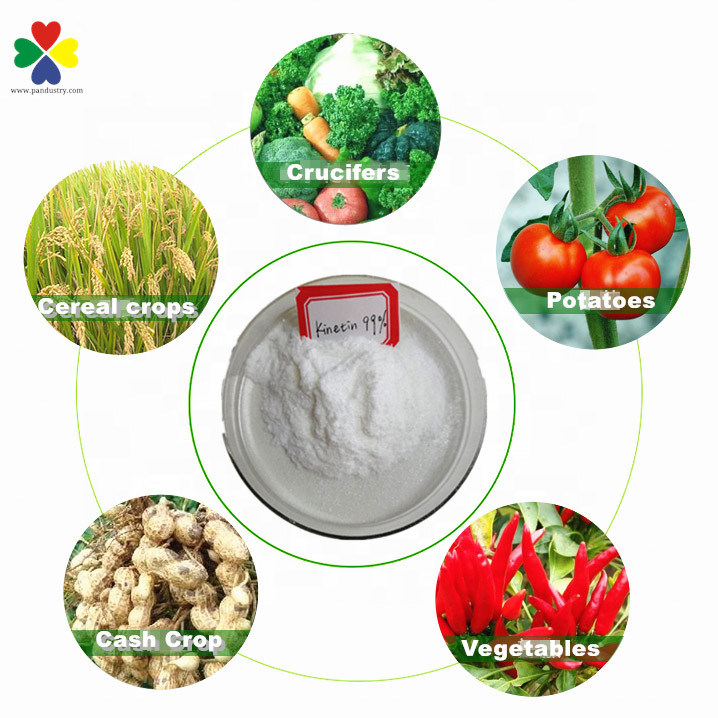 Buy Kinetin Online UK Parkinson's Disease Treatment Seed Dormancy Milkweed