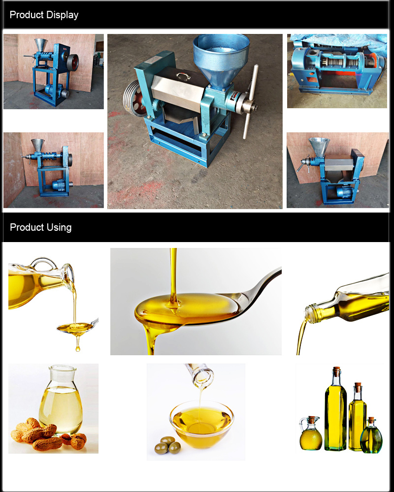 Economical Oil Press Cold Oil Press Machine Cooking Oil Making Machine
