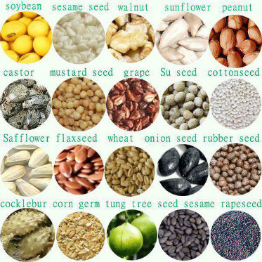 ISO 10-2000tpd Oil Seed Pressing and Refinery Machine Supply