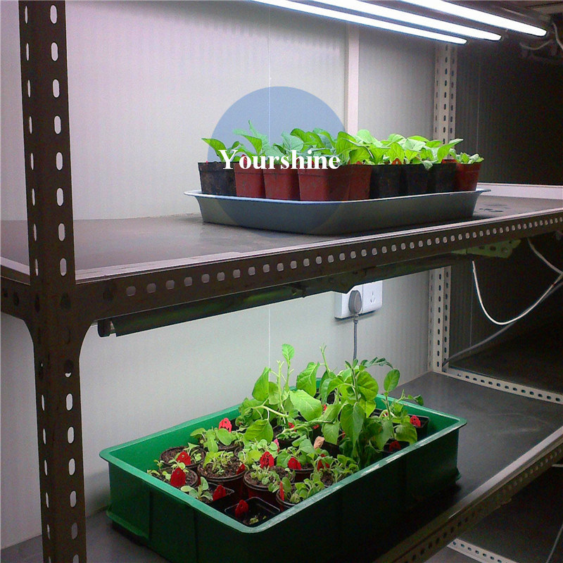 Best Selling Low Noise Cold Storage for Seed