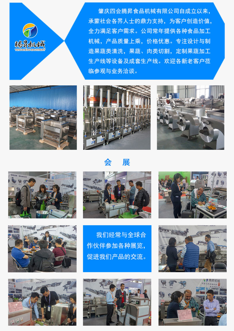Electric Field Snail Cleaner Brush-Type Field Snail Washing Machine (TS-M800)