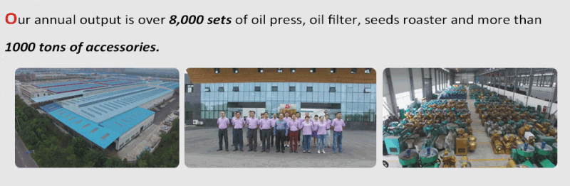 Sunflower Oil Press Machine with Oil Filter From Guangxin Brand
