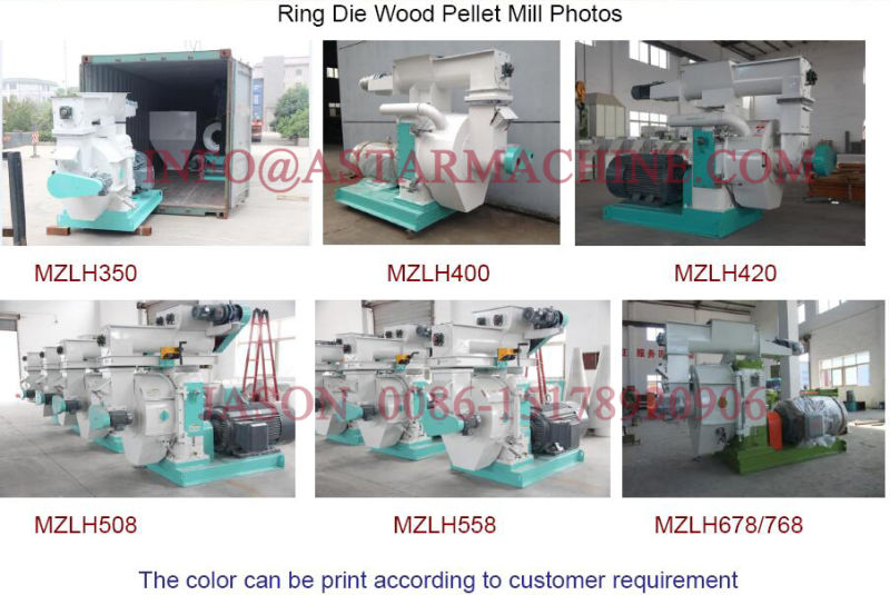 Biofuel Machine Making Wood Pellets From Sawdust
