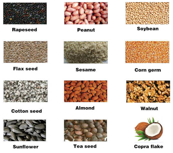Palm Oil Processing Machine Malaysia and Palm Oil Press Machine