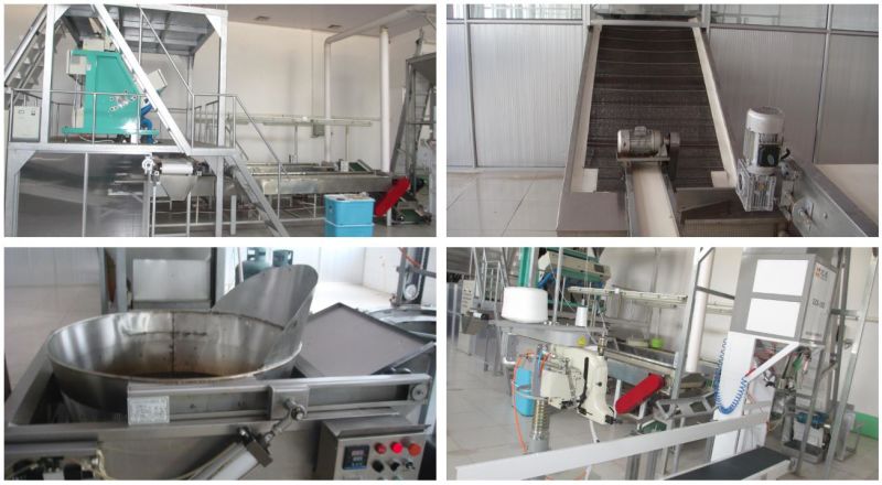 Bulk Price Dried Fruit New Crop Dried Fruits Preserved Fruits