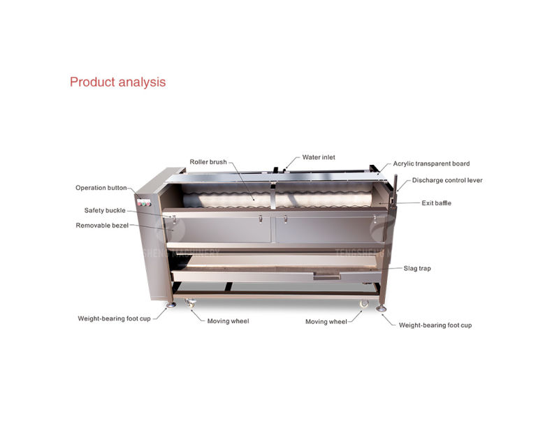 Electric Field Snail Cleaner Brush-Type Field Snail Washing Machine (TS-M800)