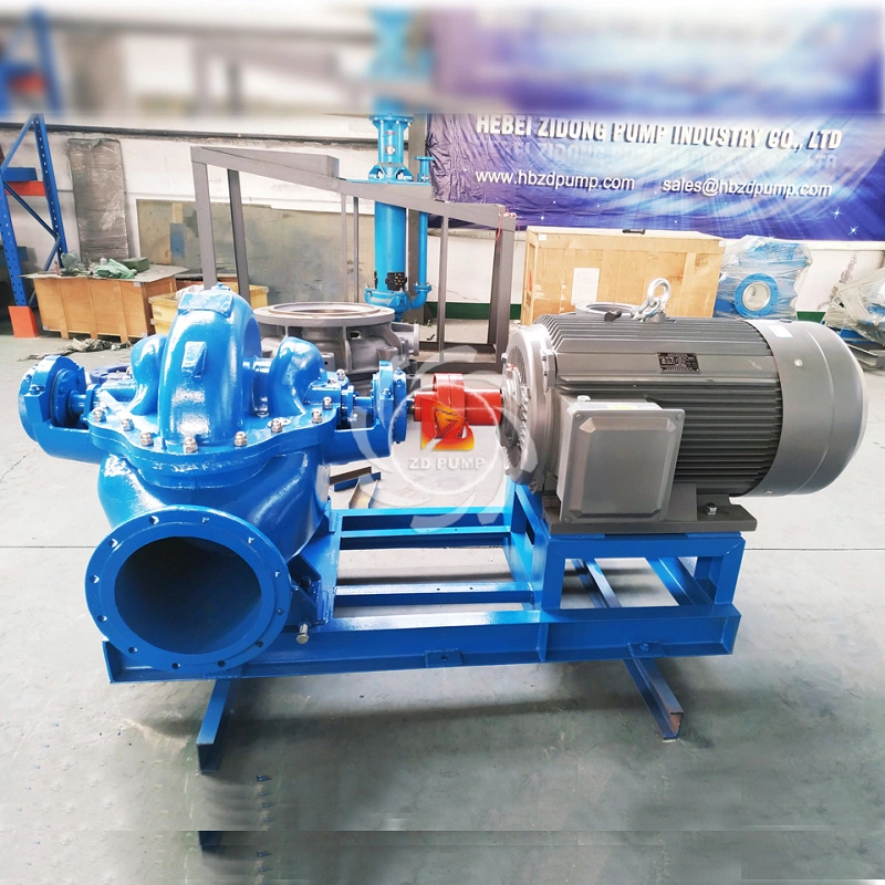 Cast Iron Double Suction High Capacity Volute Centrifugal Pump Supplier