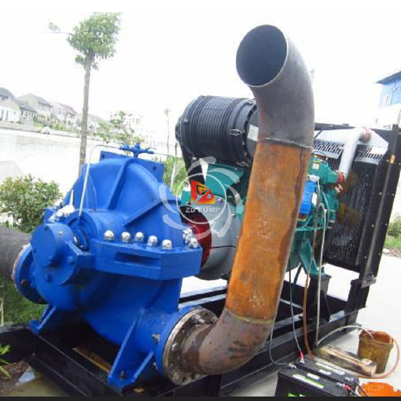 Cast Iron Double Suction High Capacity Volute Centrifugal Pump Supplier