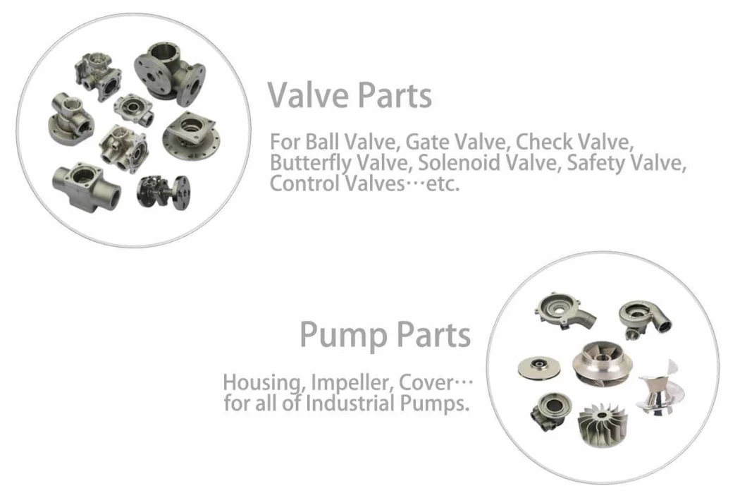 Customized Paint Blasting Passivation Stainless Steel Casting Casted Part Metal Casting Lost Wax Casting