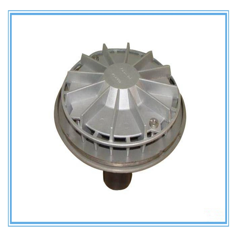 HDPE Rain Drainage Fittings Rain Strainer