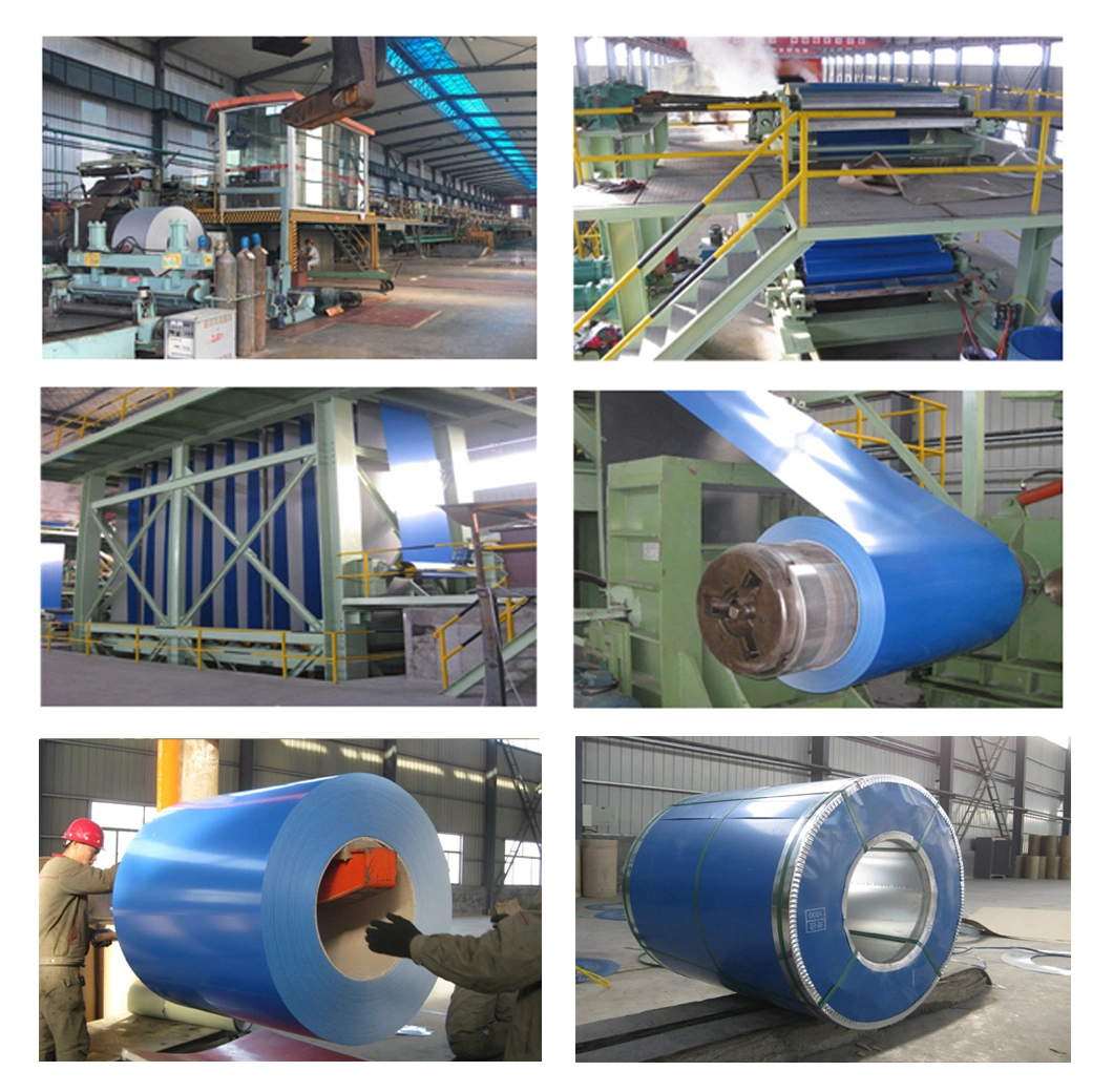 Steel Material Ral Color Coated PPGI Prepainted Galvanized Steel Coil