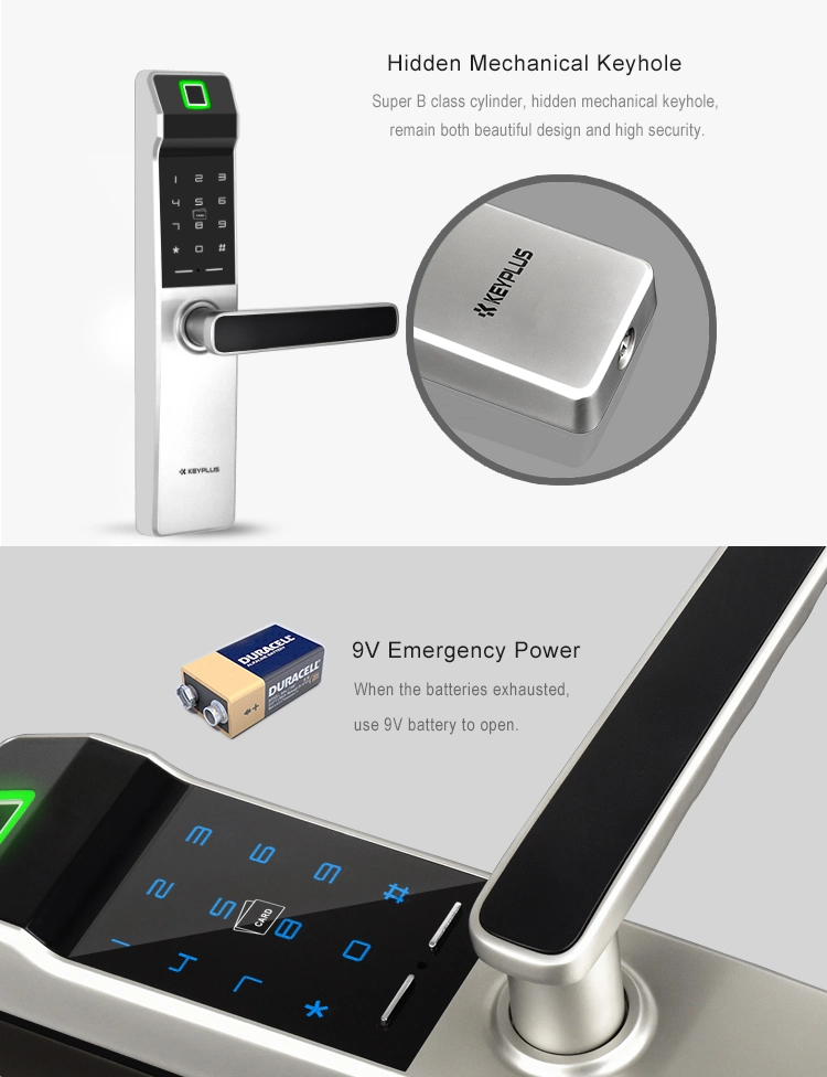 Electronic Biometric Fingerprint Door Lock Keyless Digital Door Lock Fingerprint +Password + Cards+ Mechanical Keys for Home