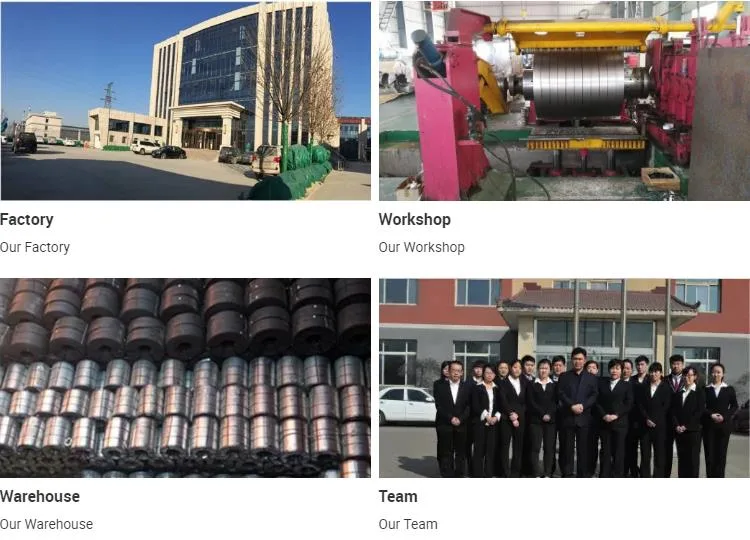 0.5*1200mm Ral9003 PVC Plastic Film PPGI Prepainted Galvanized Steel Coil