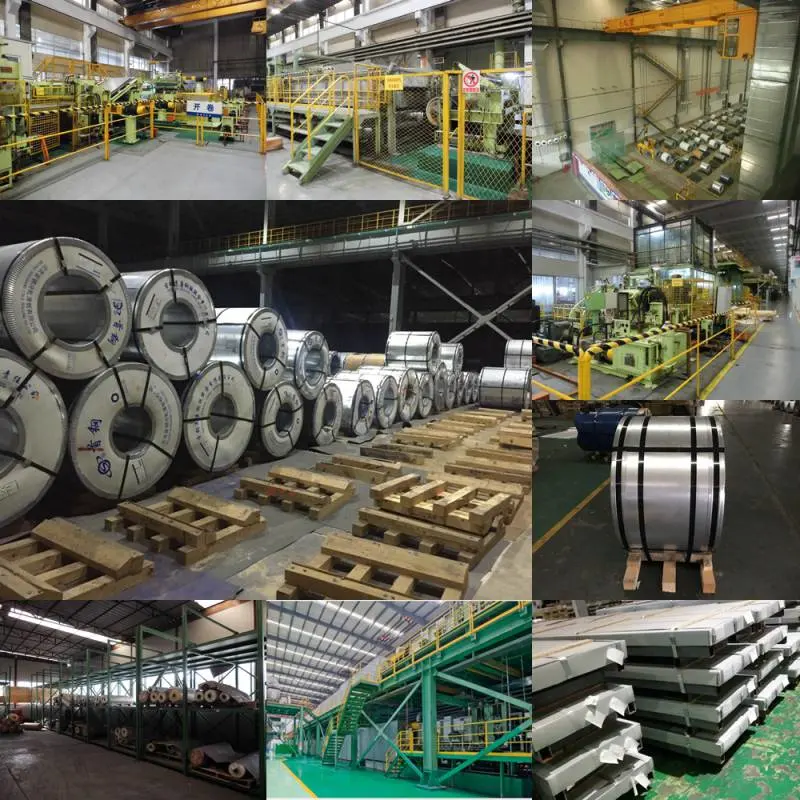 Hot Dipped PPGI/ Prepainted Galvanized Steel Coil