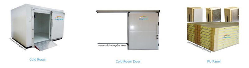 20FT Container Cold Storage/ 40FT Cold Room in Container20FT Container Cold Storage/ 40FT Cold Room in Container