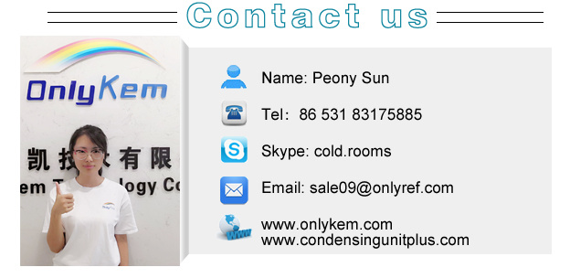 20FT Container Cold Storage/ 40FT Cold Room in Container20FT Container Cold Storage/ 40FT Cold Room in Container