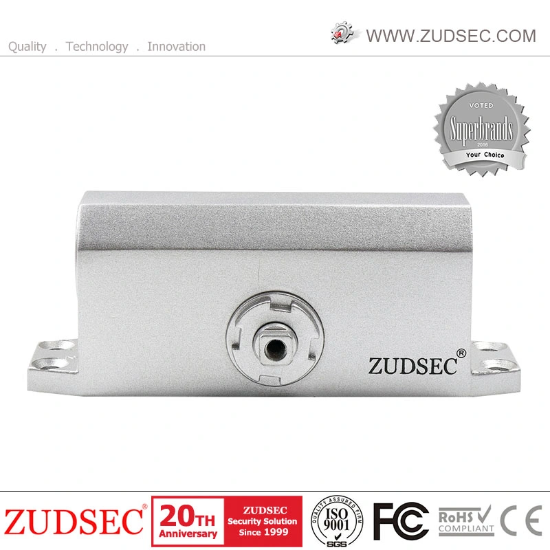 Big Size Two Speed Adjust Hydraulic Door Closer for Door