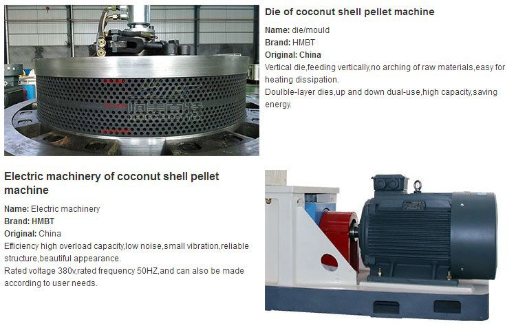 Manufacturer Price Eucalyptus Energy Machine for Making Pellet