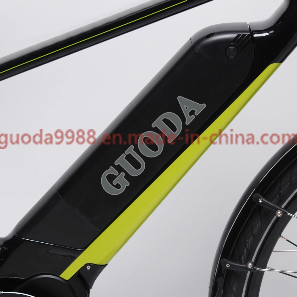 700cx42c Carbon Fiber Frame Suspension Fat Bike E-Bike Mountain Bicycle