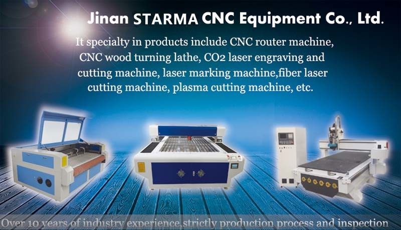 Carbon Steel Sheet Metal Laser Cutter Fiber CNC Cutting Machine