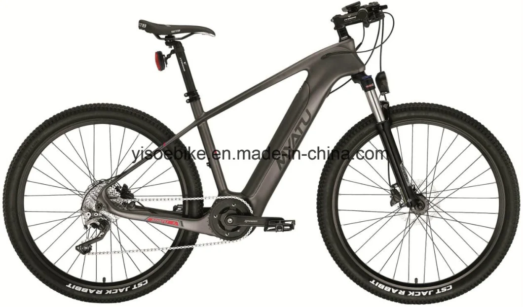 Yuebo T300 Crank Drive Electro Bike Electric Bicycle with Carbon Fiber Frame