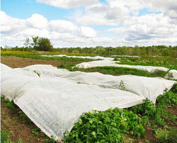 Non Woven Spunbonded/Biodegradable Waterproof Printed Non Woven Fabric