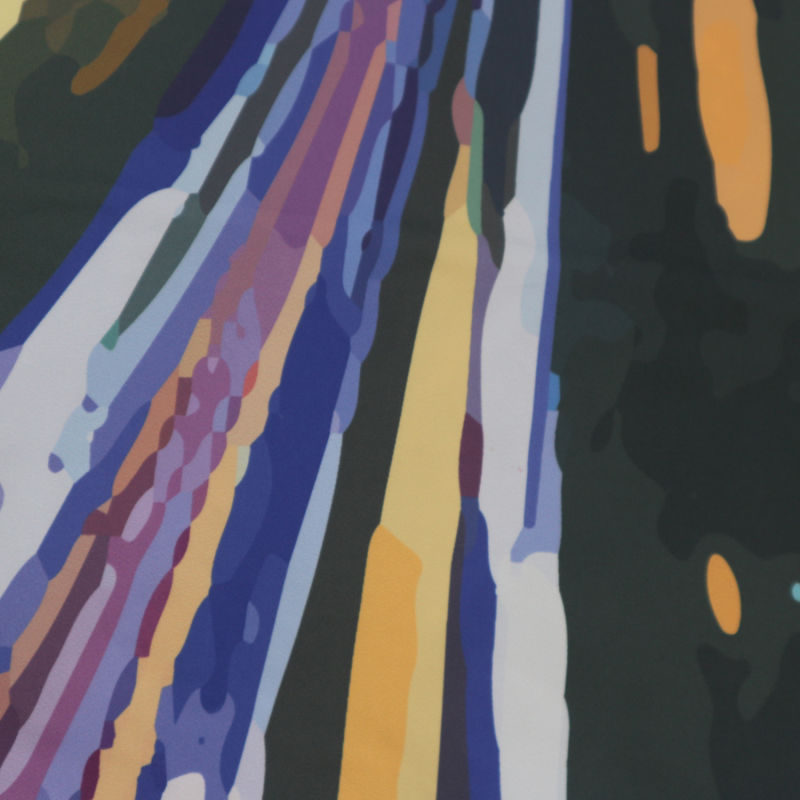 100 Polyester Printing Fabric/50d Polyester Waterproof Fabric for Lining