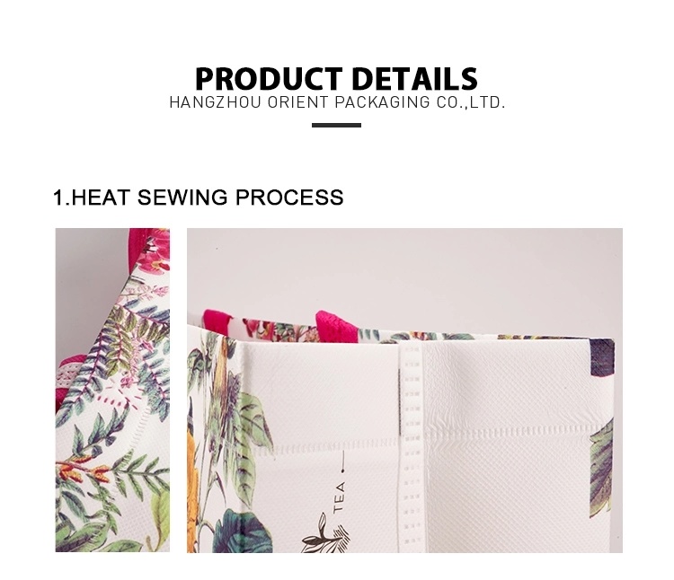 Printing PLA Available Colorful Eco Friendly Non-Woven Shop Non Woven Bag