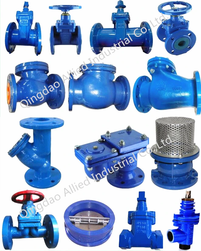 Ductile Iron Cast Iron Foot Check Valve Bottom Check Valves with Flange End (PN10, PN16)