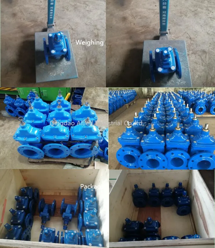 Ductile Iron Cast Iron Foot Check Valve Bottom Check Valves with Flange End (PN10, PN16)