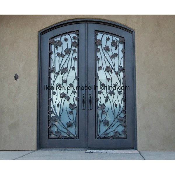 Elegant Design Cast Antique Iron Entry Door with Leaves