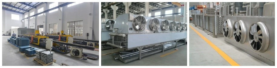 IQF Oysters Freezing Tunnel Machine/Blast Freezing Tunnel/Tunnel Belt Freezer