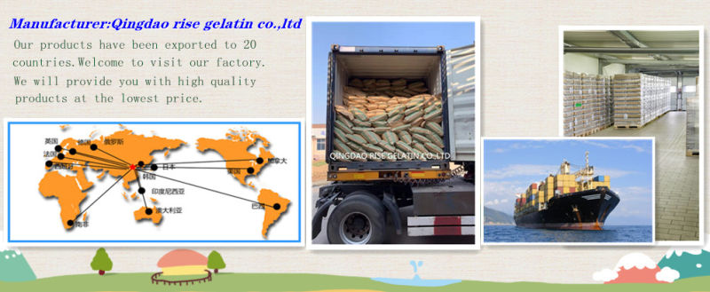 Halal Bovine Gelatin/ Pharmaceutical Gelatin for Capsules