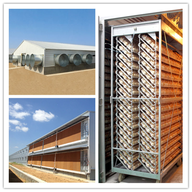 Fast Construction Modular Houses Office Prefabricated Houses