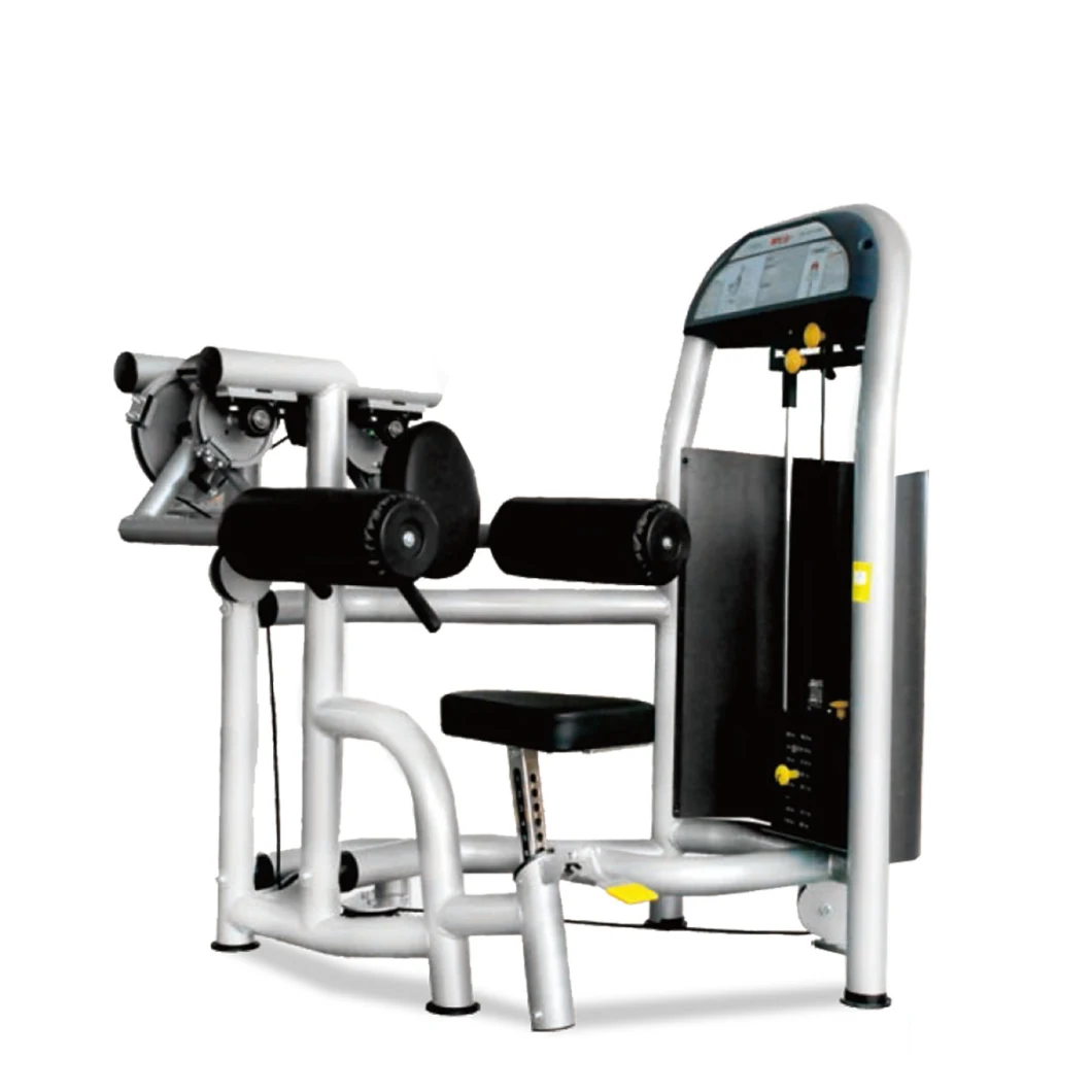 Selectorized Gym Club Commercial Deltoid Raise Machine Fitness Strength Equipment