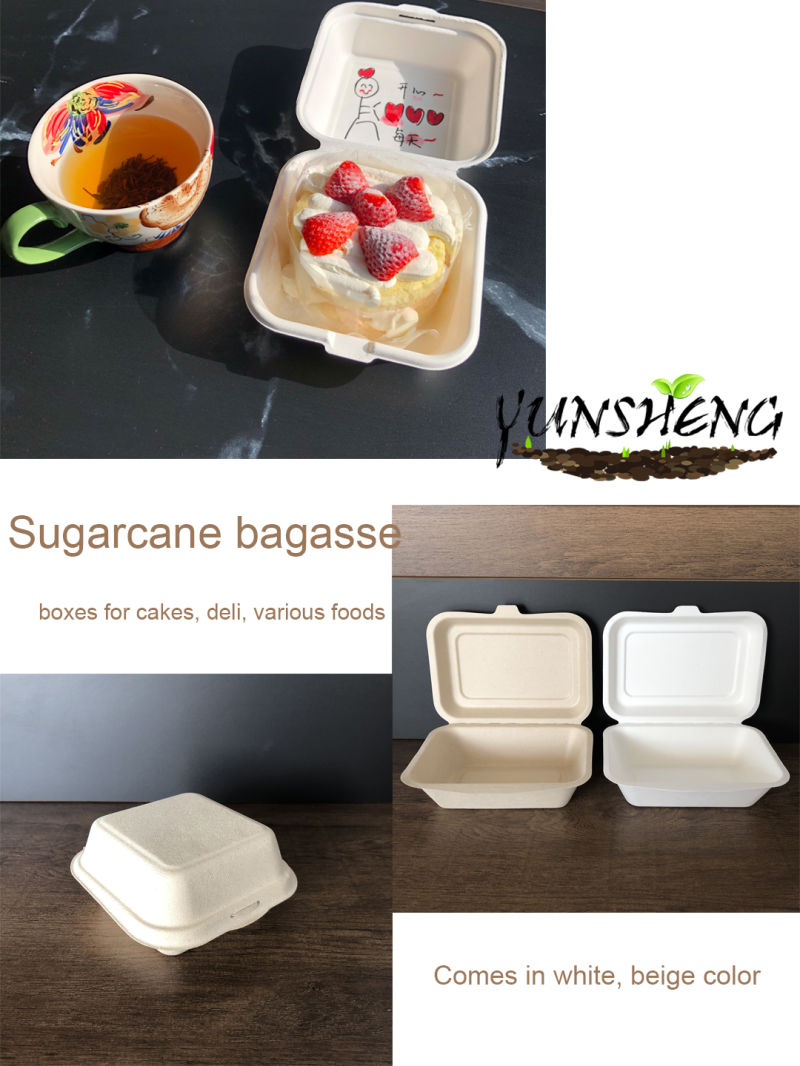 9" 10" Sugarcane Plates Biodegradable Party Plates Compostable Plates