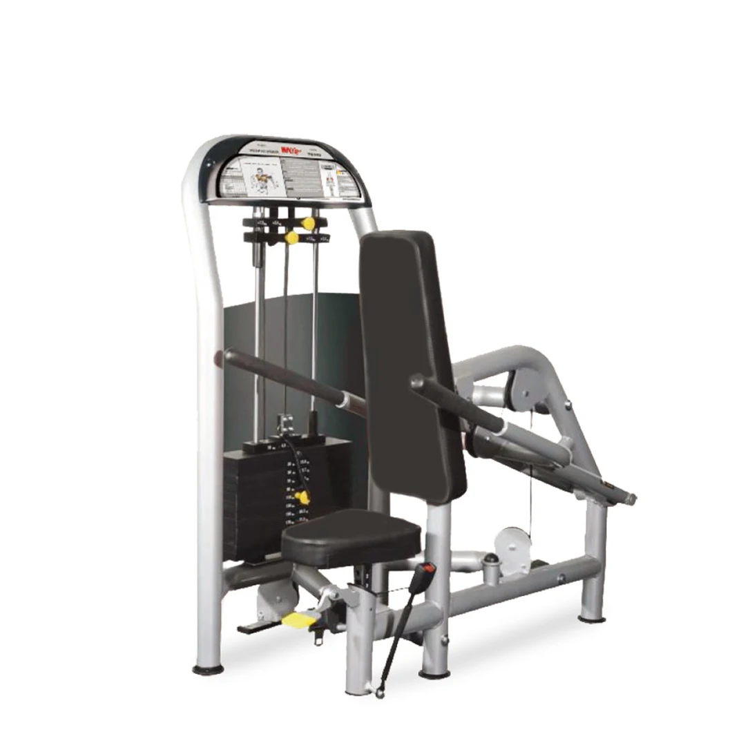 Selectorized Commercial Triceps Pushdown Machine Gym Club Fitness Strength Equipment