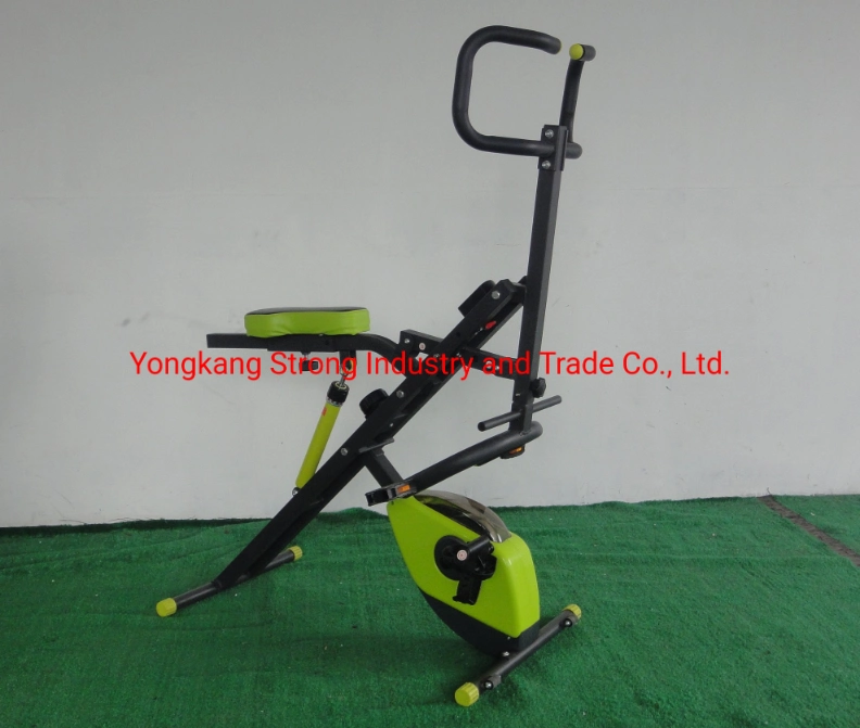 Eb010 Hot Sell Fitness Bike and Spinning Bike for Home Exercise