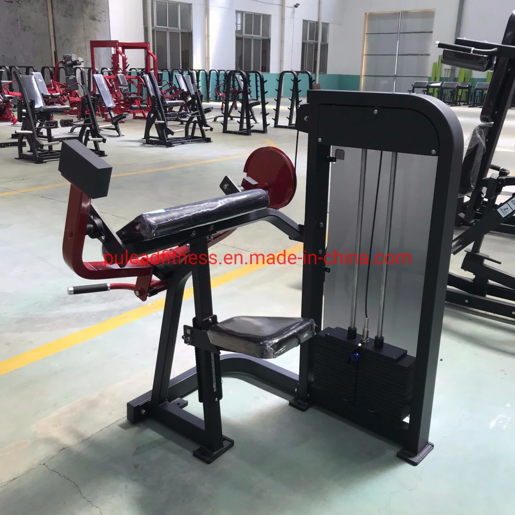 Commercial Gym Strength Equipment Seated Biceps Curl Arm Curl