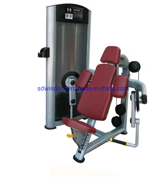 Ll5006 Home Body Building Commercial Gym Equipment Strength Fitness Machine Seated Biceps Curl