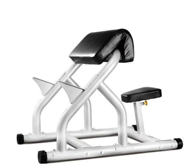 Good Quality Bicep Arm Curl Rack Gym Machine in Gym Room